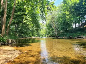 Sycamore Campground and Taco Shack