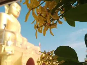 Maharkangyi Shin Buddha