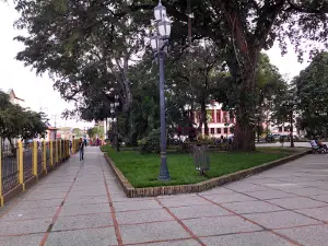 Cathedral Basilica of Our Lady of Coromoto