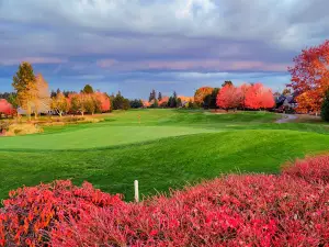 OGA Golf Course