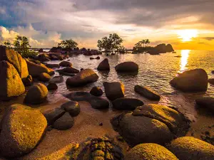 Kelapa Dua