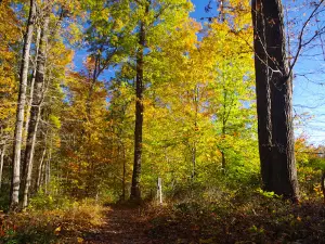 Oregon Ridge Park