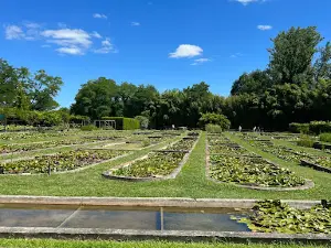 The Garden Of Lilies