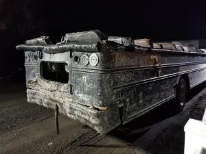 Reapers Realm Haunted Forest Ride