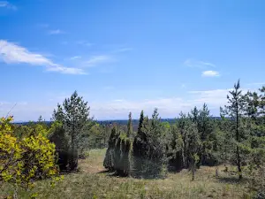 Deliblatska Peščara