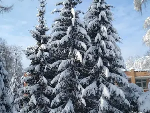 Usad'ba Vorob'yovo