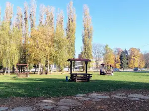 SRC Dubočica