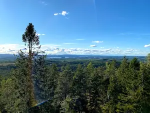 Pisa Nature Preserve