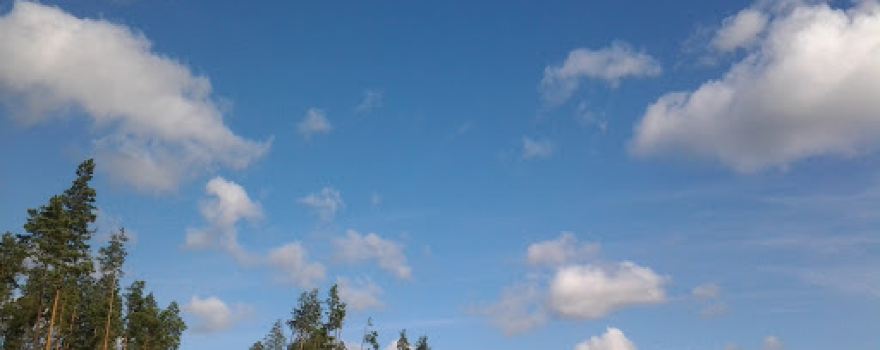 Vazhskiy Zakaznik