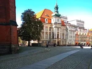 Theater. Modrzejewska