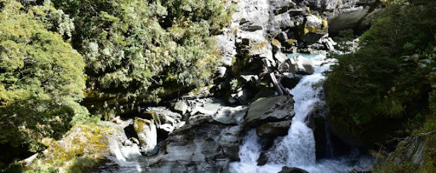 Rob Roy Glacier Track
