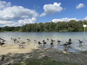 Heidbergsee