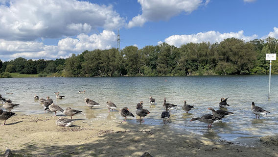 Heidbergsee