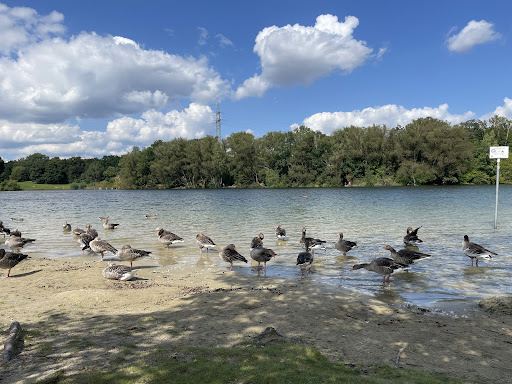 Heidbergsee