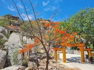 Bãi biển Cà Ná