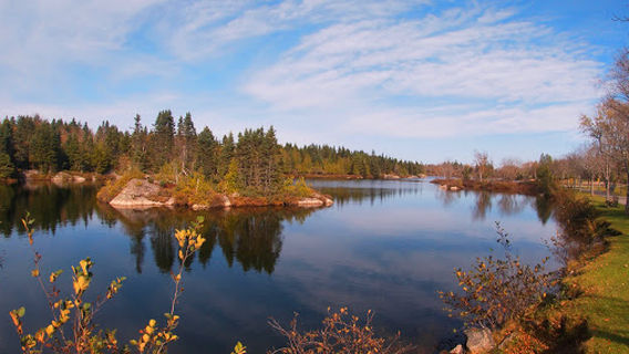 Saint John Dog Park
