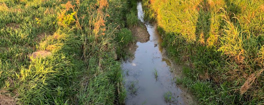 Historic Anthony Wayne Parkway Roadside Park - Wabash River