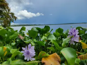 Bogue Homa State Lake