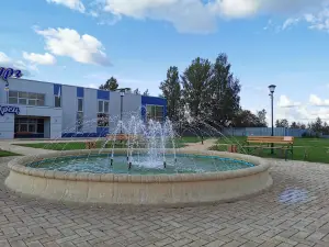 Металург