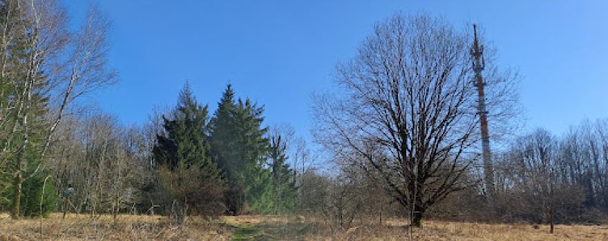 Großer Gleichberg