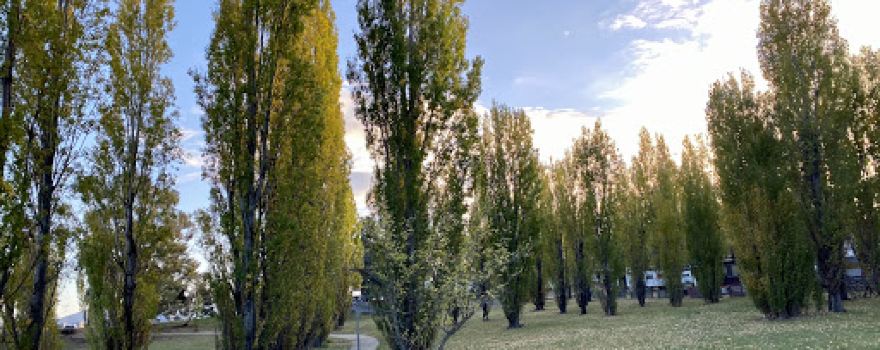 Banjo Paterson Park