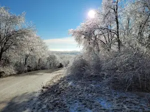 Pigeon Hill Conservation Area