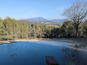 Parc de Coulondres