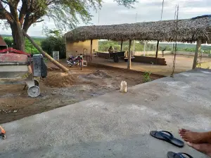 Arena Japa