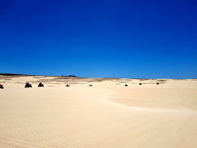 Turtle Bay - Boa Vista