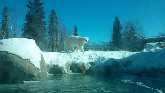 Tim Horton Events Centre, Cochrane