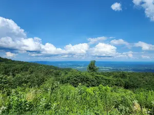Hogwallow Flats Overlook