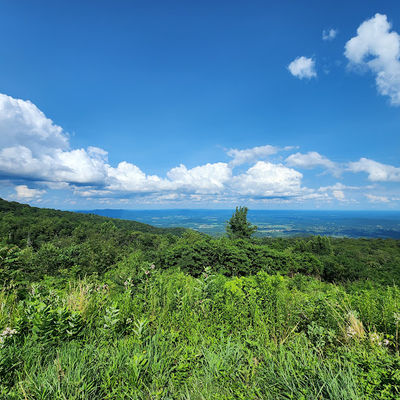 Hogwallow Flats Overlook