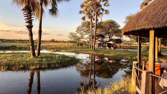 Onguma Leadwood Campsite