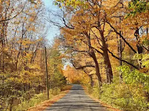 Urbana Parks & Recreation