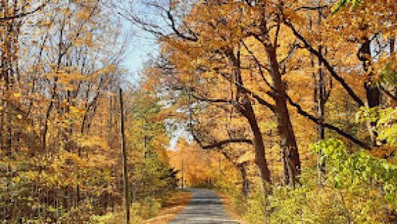 Urbana Parks & Recreation