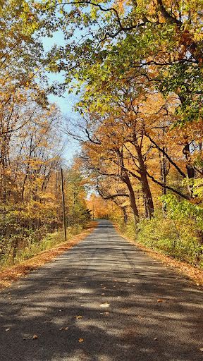 Urbana Parks & Recreation
