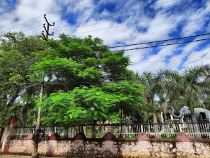 Nehru Park
