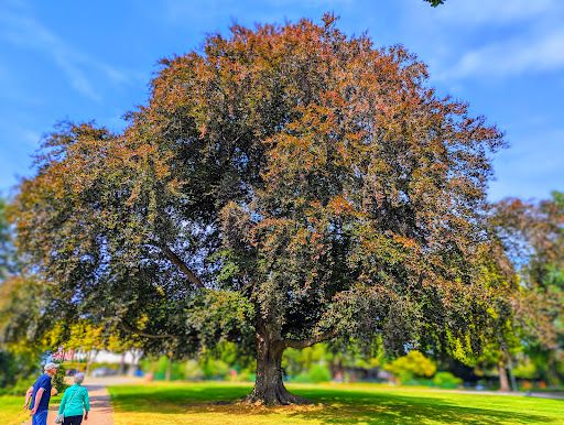 Stadtpark