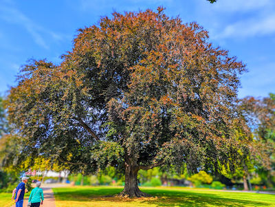 Stadtpark