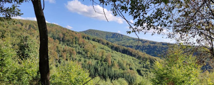 Strihovské sedlo