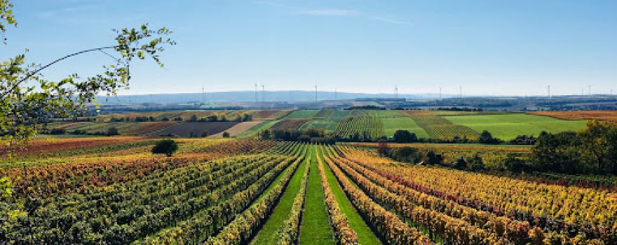 Weingut Familie Pitnauer