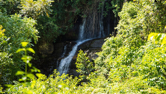 Morogoro