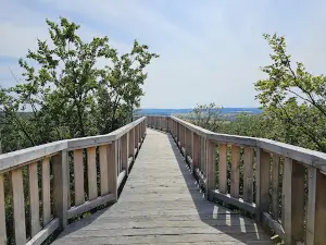 Baumwipfelpfad “Forest Adventures”