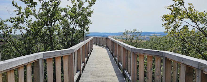 Baumwipfelweg Bad Camberg “Forest Adventures”