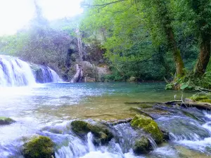 Cascades of Cingoli