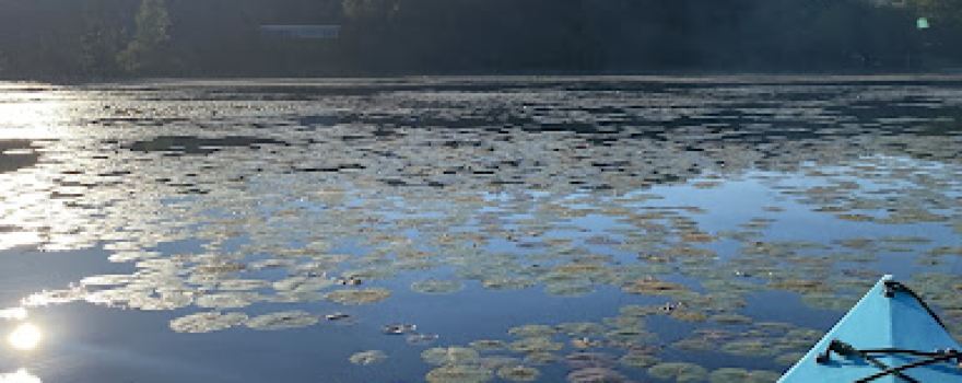Wolf Lake Resort & Campground