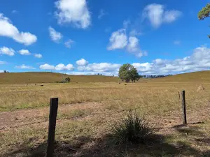 Flanagan Reserve Bush Camping