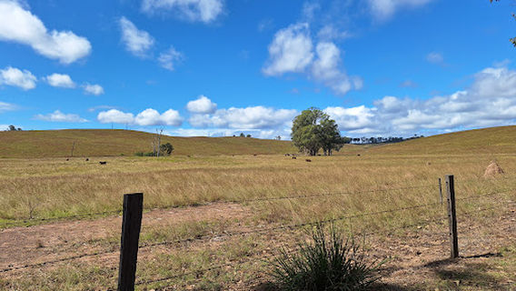 Flanagan Reserve Bush Camping