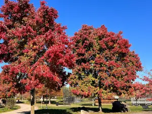 Wilson Farm Park