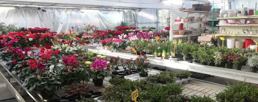 Garden Carrara Endine G.